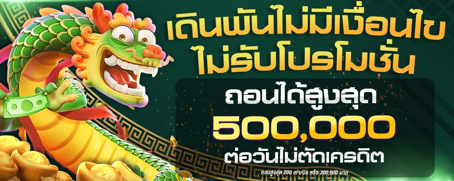 บาคาร่าออนไลน์ ZD888 ดีลเลอร์สดถ่ายทอดสด